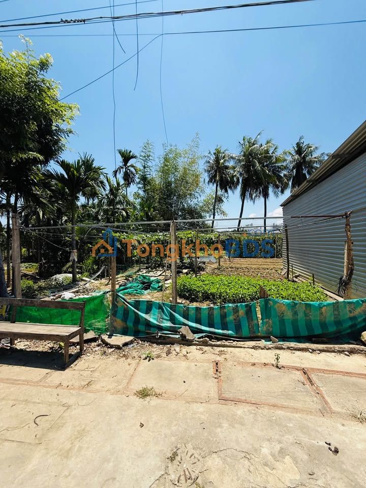 Bán Gấp Đất Thổ Cư Mặt Tiền Chùa Thiên Phú, Vạn Thạnh - 157m² Giá 2.4 Tỷ