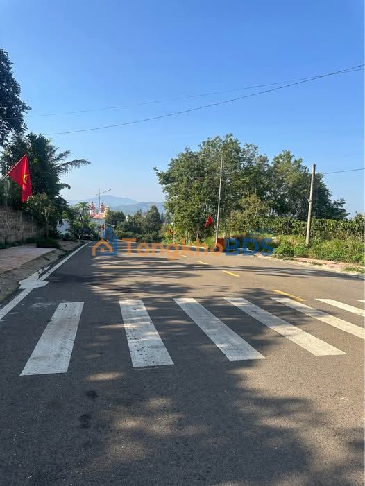 Đất nền Thị trấn Di Linh 96000m² giá 5 tỷ - Ô tô vào tận nhà