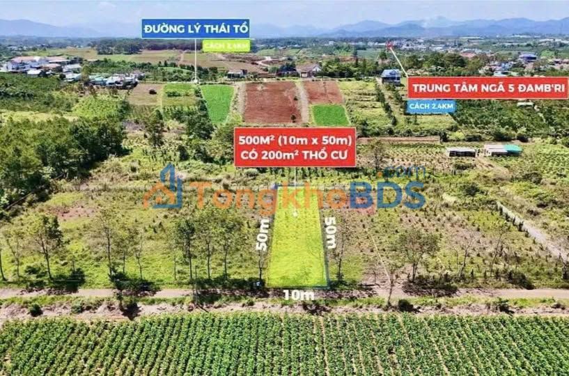 Đất nền Nhánh Lý Thái Tổ Bảo Lộc 500m² 1.6 tỷ - Sổ đỏ