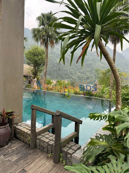 Đất nghỉ dưỡng Cư Yên 640m² thỏa thuận - Nghỉ dưỡng lý tưởng