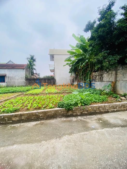 Đất nền Xã Tốt Động 100m² 1x tỷ - Sổ đỏ chính chủ