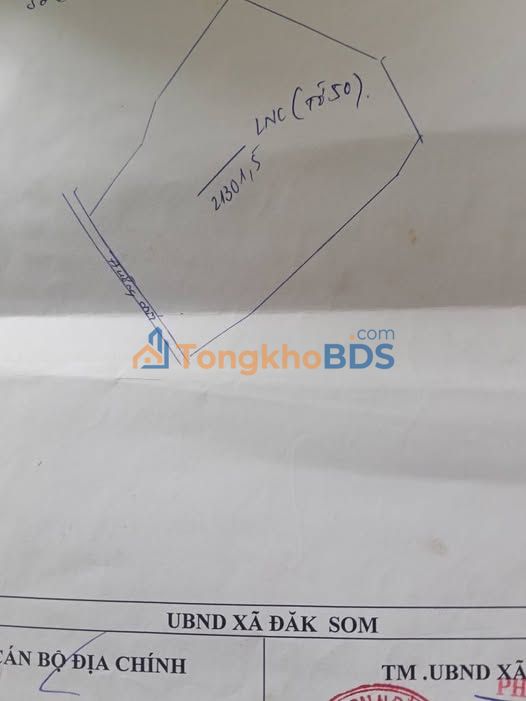 Đất vườn Đắk Som Lâm Đồng 2,4ha 1.8 tỷ - Đầu tư dài hạn