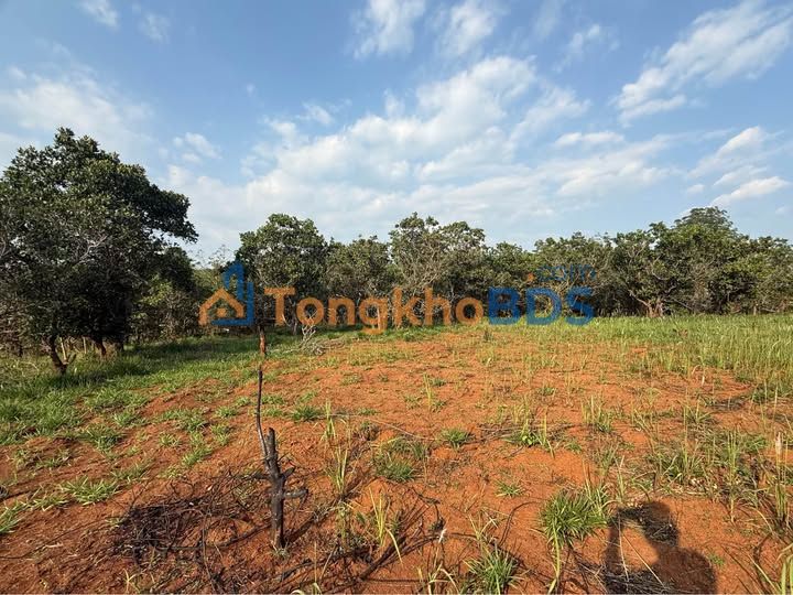 Đất 32.400m² Kiến Đức - 2 Mặt Tiền, Giá 1.25 Tỷ, Sẵn Sổ Đỏ