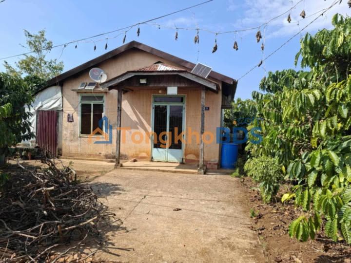 Đất nền Di Linh 406m² 3.25 tỷ - Sổ đỏ chính chủ