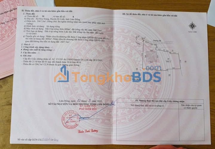 Bán Gấp Vườn Kèm Nhà Cấp 4 1080m² Mặt Tiền Đường Đá Đức Trọng