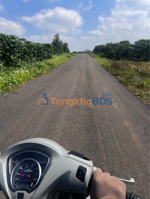 Đất Bảo Lộc Hẻm 198 Đoàn Thi Điểm 1,6ha 10 tỷ - Tiềm năng tăng giá