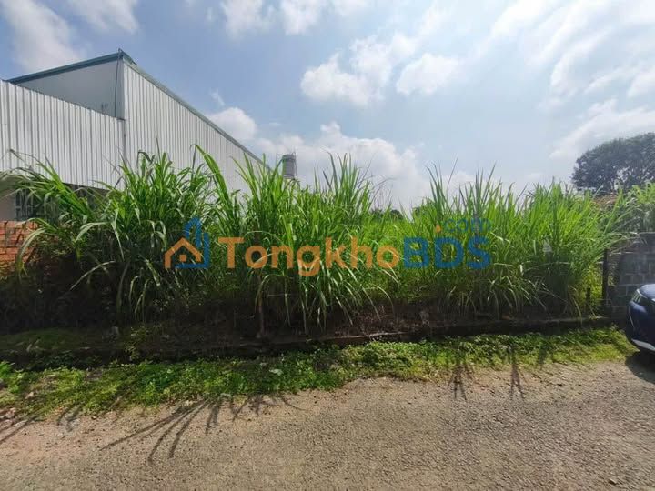 Đất nền 200m² Phường 8 Đà Lạt - Sổ đỏ thổ cư, giá 1.7 tỷ