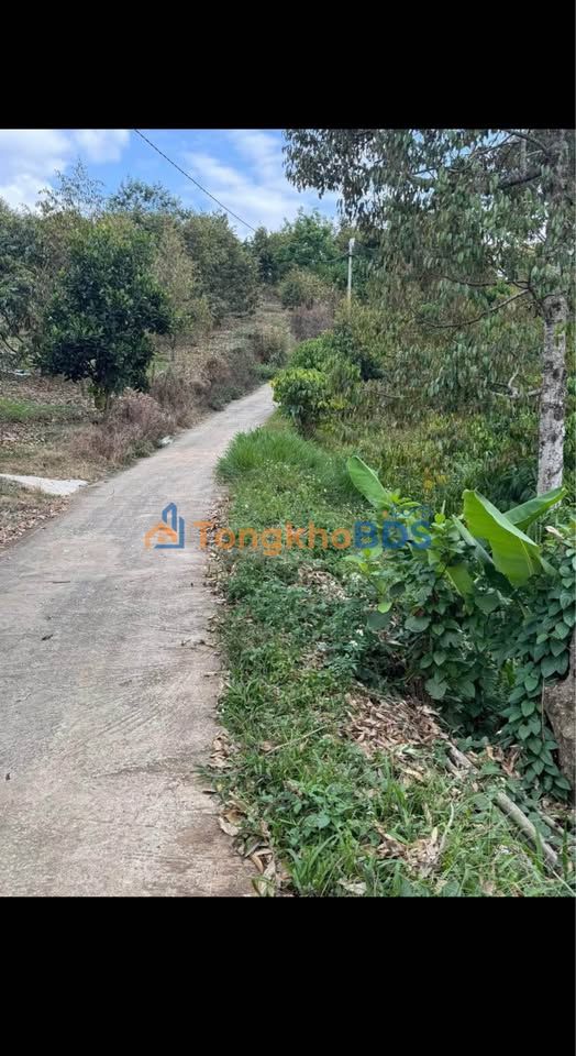 Đất vườn Di Linh 1.908m² 2,7 tỷ - Sổ hồng rõ ràng