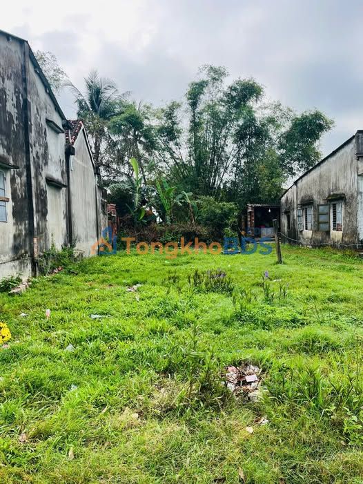 Bán đất Tam Xuân 2, Núi Thành 161m² - Gần Chợ Bà Bầu, Giá 6xx Triệu