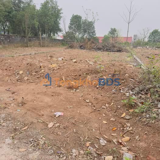 Đất nền Ngọc Sơn Chu Điện 200m²/600 triệu - Giá tốt hiếm có