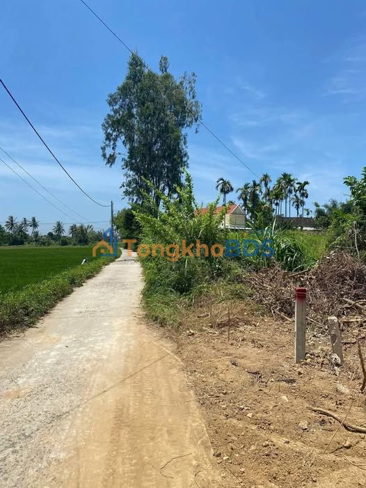 Đất Nền Duy Nghĩa, Quảng Nam - 186m² Giá Tốt, Sổ Đỏ Sẵn Sàng