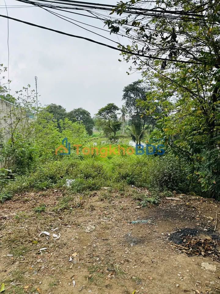 Bán đất 100m² Quận 2 giá 2 tỷ, ngay cạnh Vinhomes, đường ô tô