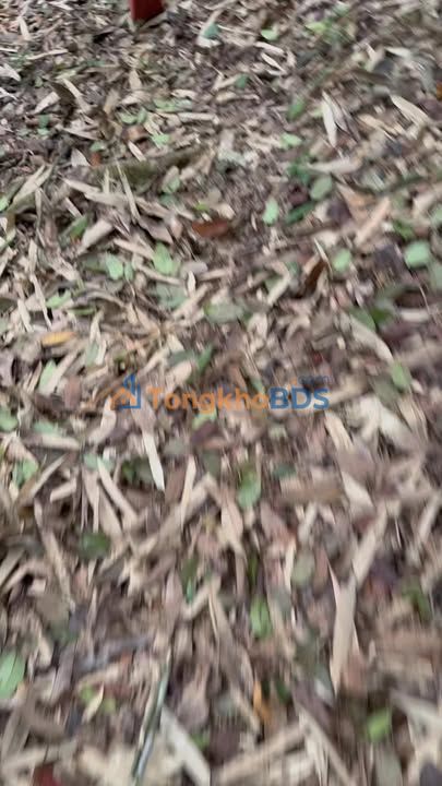 Đất nền Tân Tiến Hữu Lũng 500000m² - Sổ đỏ chính chủ