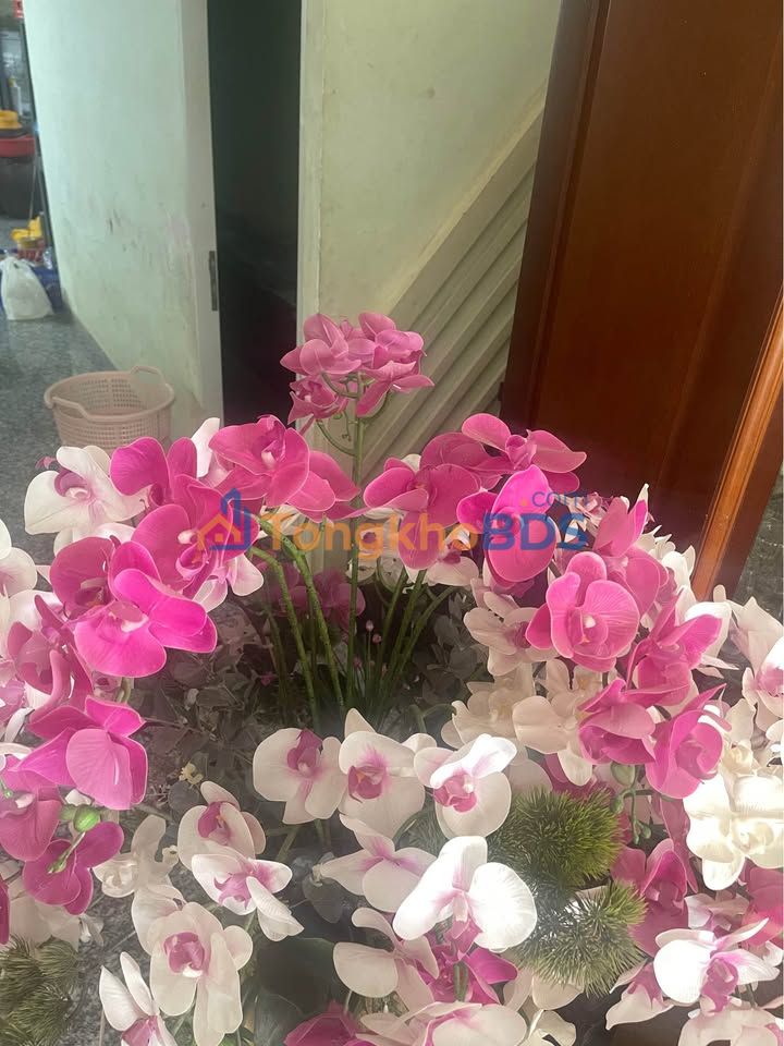 Đất nền Thuận Hòa Huế 350m² 2.682 tỷ - Sổ đỏ chính chủ