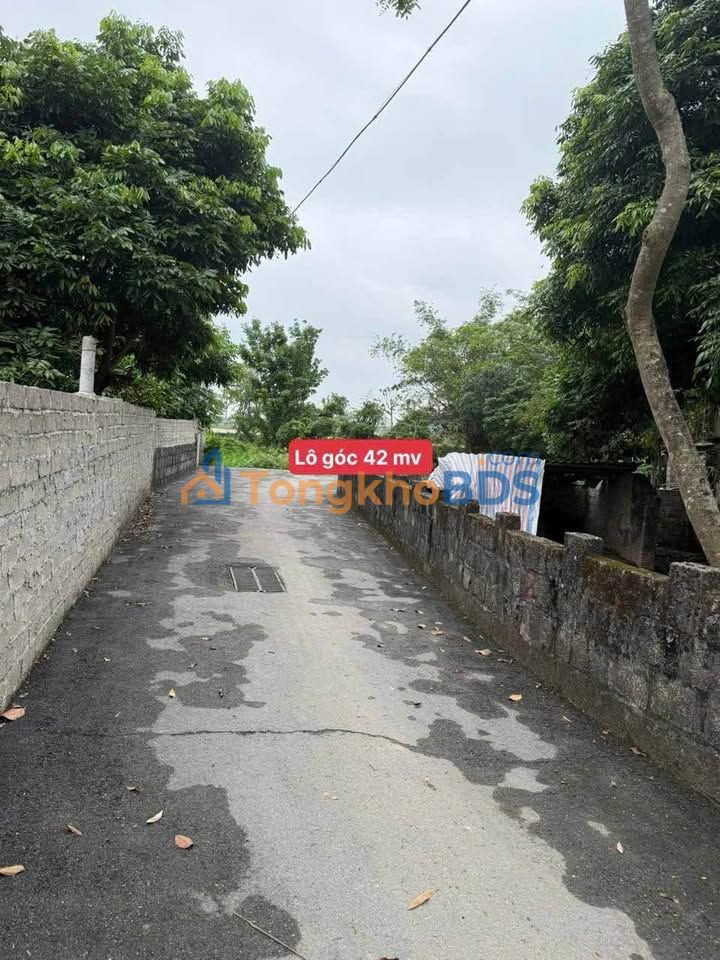 Đất Tiên Lãng 42m² - Đường Ô Tô, Gần Sun & Đại Học Nam Cao, Giá 1.5 Tỷ