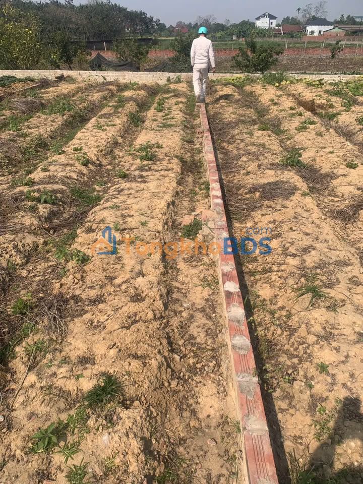 Đất nền Danh Thắng Hiệp Hòa 100m2 200-1000tr - Sổ đỏ chính chủ