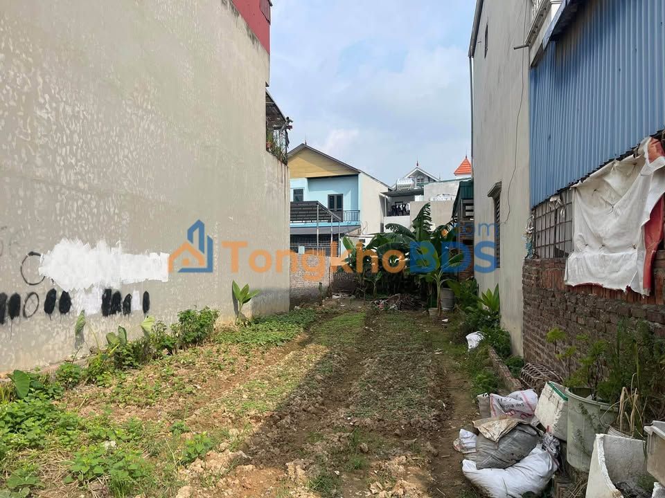 Đất nền Thanh Xuân Sóc Sơn 156m² 468 triệu - Đất thổ cư 100%