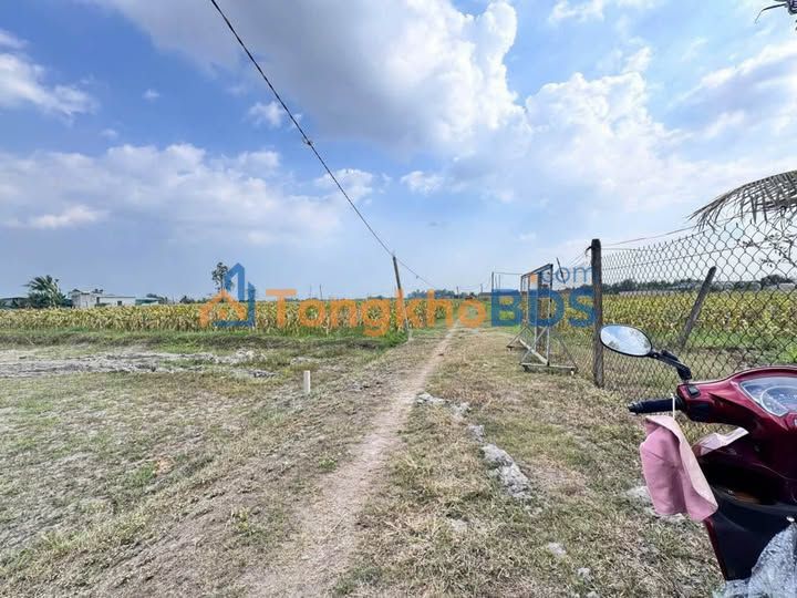 Đất Thổ Cư Sổ Hồng Riêng Đức Hòa 380m² Giá 1.6 Tỷ