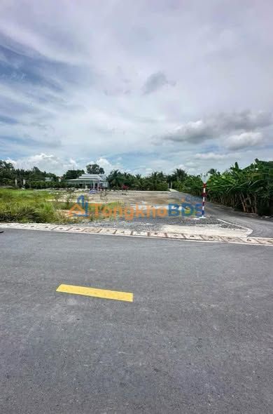 Đất nền Bình Chánh 1.000m² giá 15 tỷ - Đường to ô tô