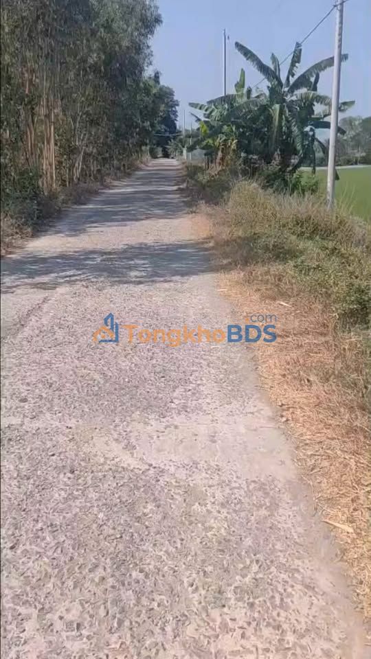 Bán Gấp 350 Công Lúa Vĩnh Đại, Tân Hưng - 40.25 Tỷ - Đất Vàng Đầu Tư