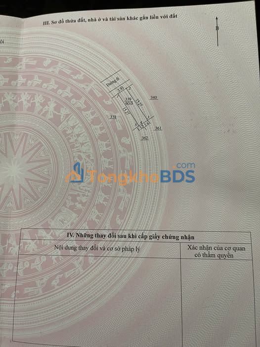 Đất Dịch Vụ Song Phương 60m² - Đầu Tư Sinh Lời Vượt Trội