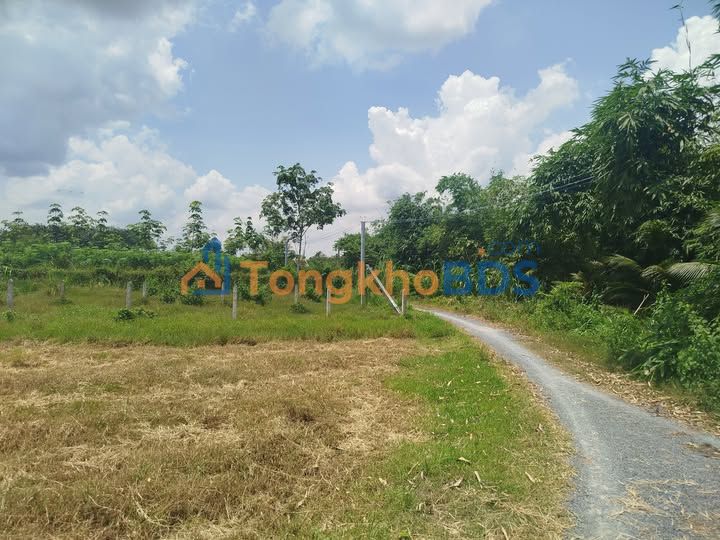 Đất Đôn Thuận Trảng Bàng 90m² 870tr - Sổ đỏ chính chủ