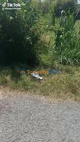 Đất nền Phước Đông Trảng Bàng 530m² 1.2 tỷ - Sổ đỏ chính chủ