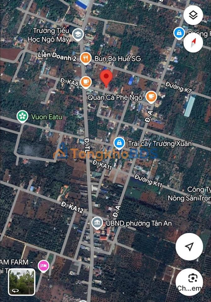 Đất nền Tân An Buôn Ma Thuột 100m² 1,3 tỷ - Đường ô tô vào