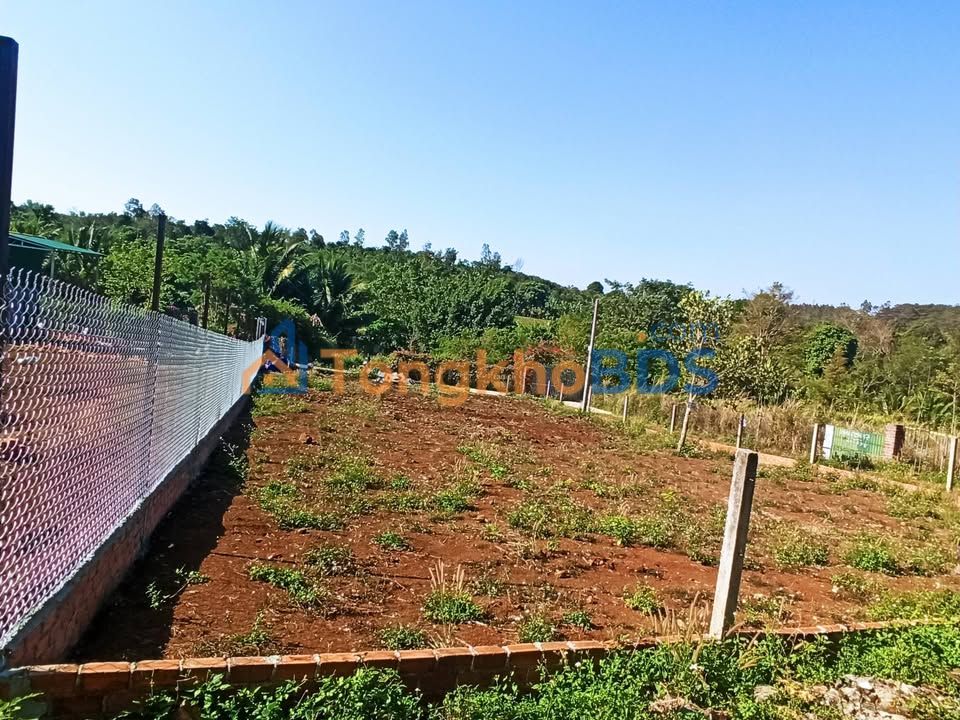 Đất Vườn Buôn Ma Thuột 500m² - Sổ Đỏ Sẵn Sàng - Giá Tốt