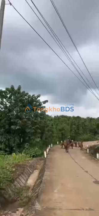 Đất nền Buôn Huê Ea Tam 720m² 3 tỷ - Sổ đỏ chính chủ