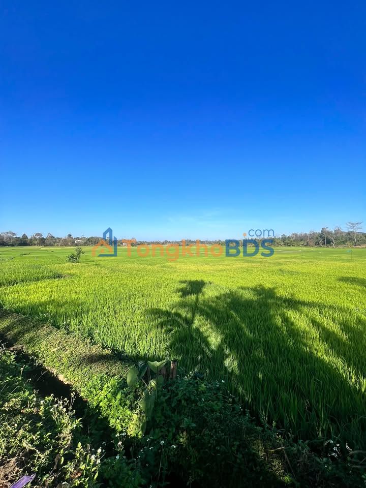 Đất Ea Tiêu Buôn Ma Thuột 1.25 tỷ - Tiềm năng tăng giá