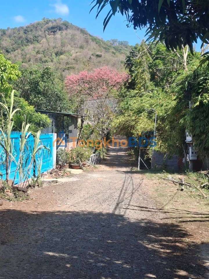 Đất Thổ Cư Khối 7, TP. Buôn Ma Thuột - 100m² Hướng Nam, Giá 680 Triệu