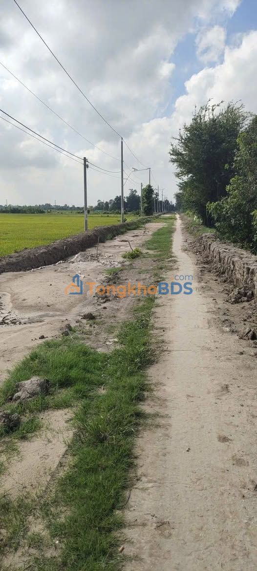 Đất nền Phú Thuận Thoại Sơn 1.000m² 500tr - Tiềm năng tăng giá