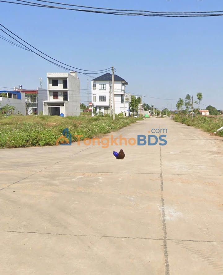 Đất nền Phường Ninh Phúc, Hoa Lư 319m² giá thỏa thuận - Đường to ô tô