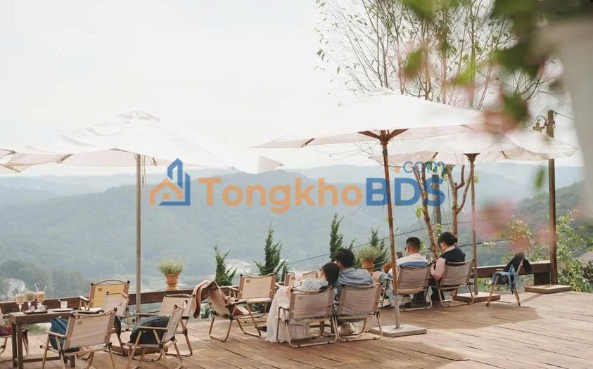 Cho thuê Khu phức hợp Cafe Camping View Săn Mây Đèo Pren, Đà Lạt - 1000m²