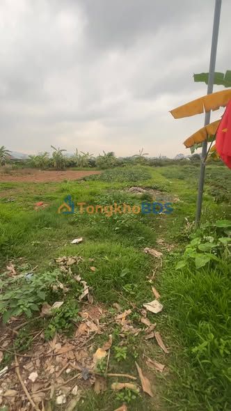 Đất nền Từ Sơn 115m² giá thỏa thuận - Sổ đỏ chính chủ