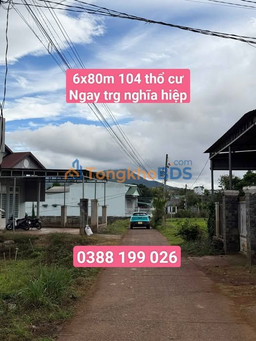 Đất Nền Đức Trọng 480m² Sổ Đỏ Chính Chủ - Gần Chợ Đầu Mối