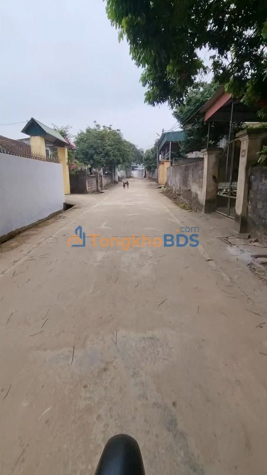 Đất nền Bỉm Sơn 500m² - Tặng Vàng Đầu Năm