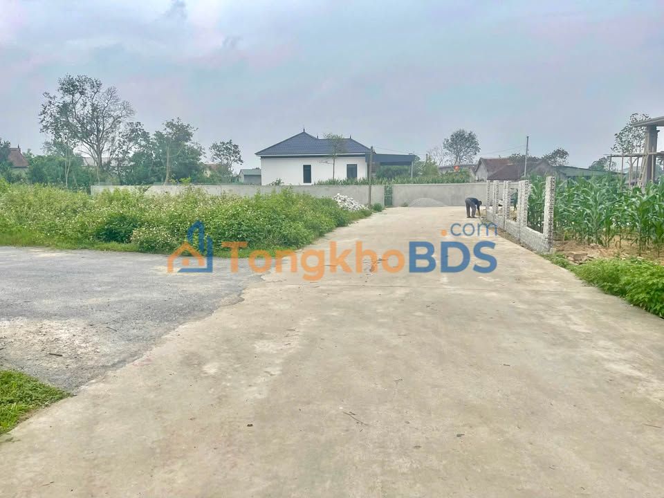 Đất Nghi Thái Nghi Lộc 100m² 1.2 tỷ - Đường to ô tô