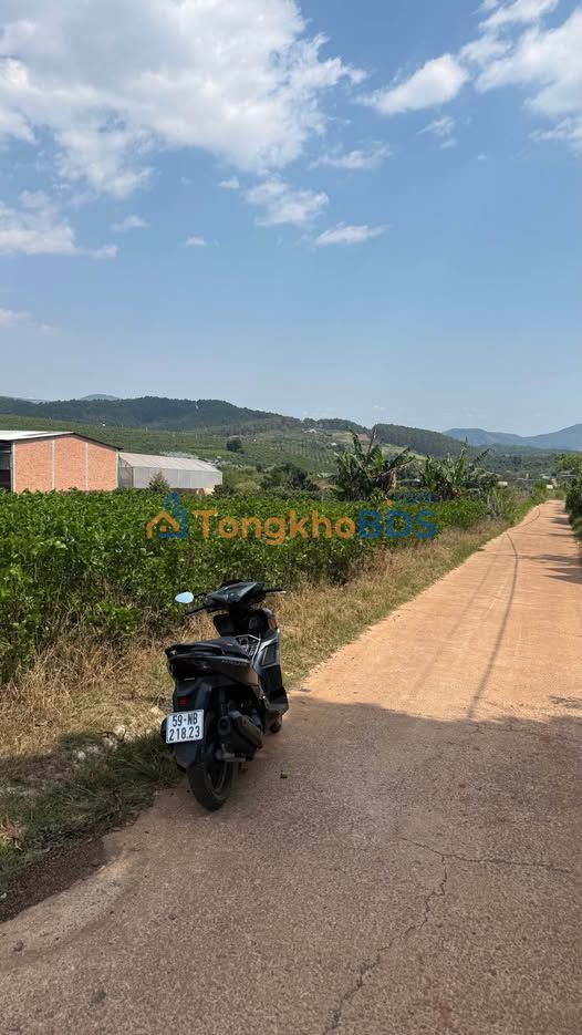 Đất nền Dĩ An 802m² 3.89 tỷ - Giá tốt hiếm có