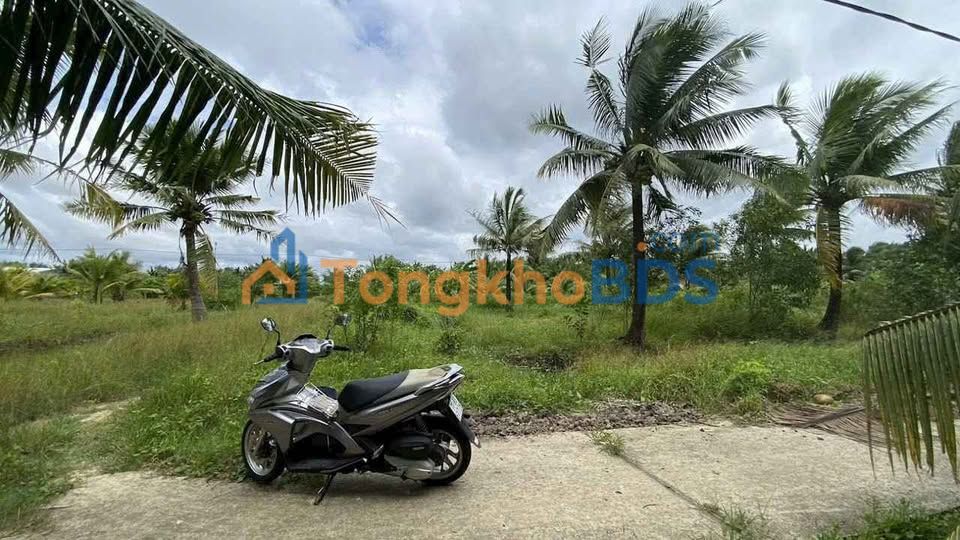 Đất vườn Sơn Đông Bến Tre 1.100m² 950tr - Tiềm năng tăng giá