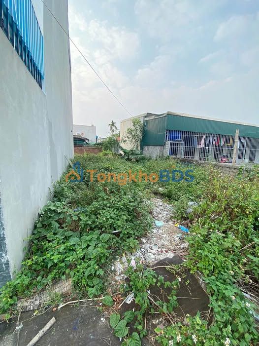 Đất nền Phố Phương Đình 85m² giá thỏa thuận - Sổ đỏ chính chủ