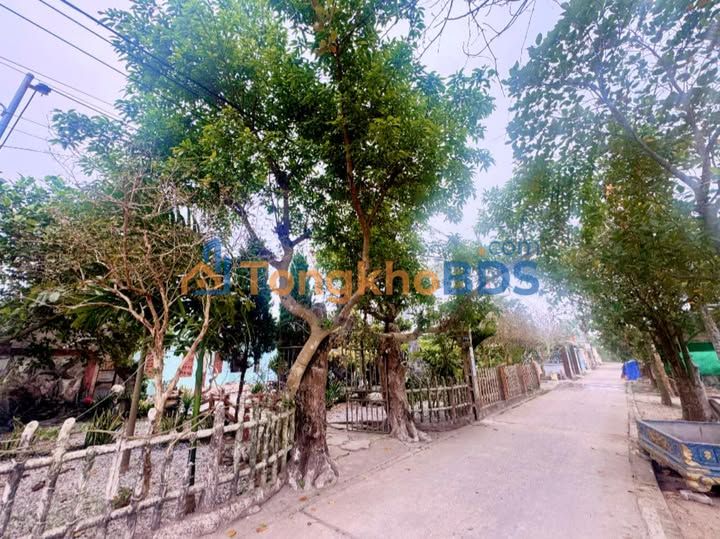 Townhouse Đông La 565m² Thái Bình - Sẵn sàng ở ngay