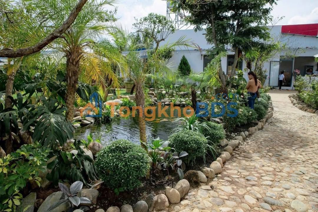 Đất mặt tiền QL20 Phú Hội 1576m² - Đường to ô tô