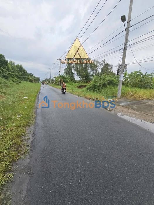 Đất Thổ Cư Mặt Tiền Hải Thượng Lãn Ông, Cà Mau - 300m² Đón Đầu Quy Hoạch