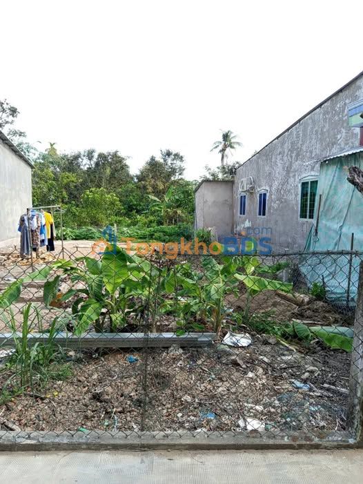 Đất nền Phong Điền 136m² 590 triệu - Sổ đỏ chính chủ