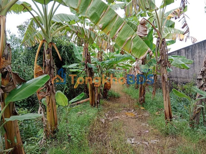 Đất nền Phú Hữu 8.300m² giá 9.96 tỷ - Sổ đỏ chính chủ