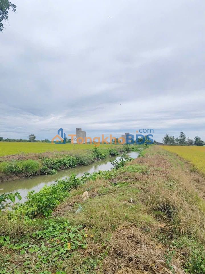 Đất nền Phú Tân Sóc Trăng 12.000m² giá 1.2 tỷ - Sổ đỏ chính chủ