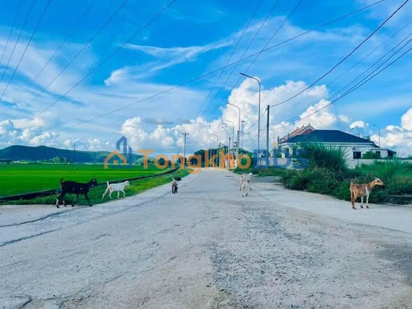 Đất thổ cư Hà Trung 165m² 8xx triệu - Đường to ô tô