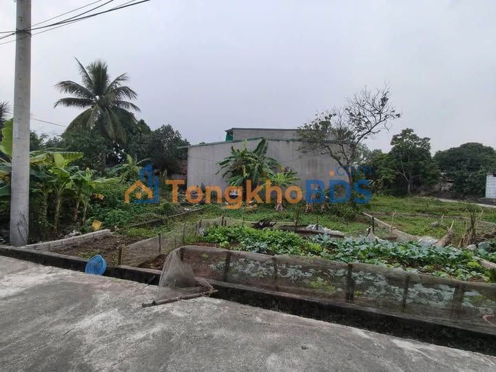 Đất nền Thanh Châu Phủ Lý 68m² giá 1.3 tỷ - Giá tốt hiếm có